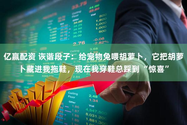 亿赢配资 诙谐段子：给宠物兔喂胡萝卜，它把胡萝卜藏进我拖鞋，现在我穿鞋总踩到 “惊喜”