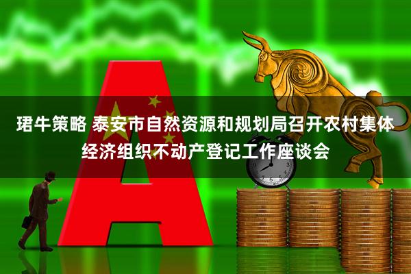 珺牛策略 泰安市自然资源和规划局召开农村集体经济组织不动产登记工作座谈会
